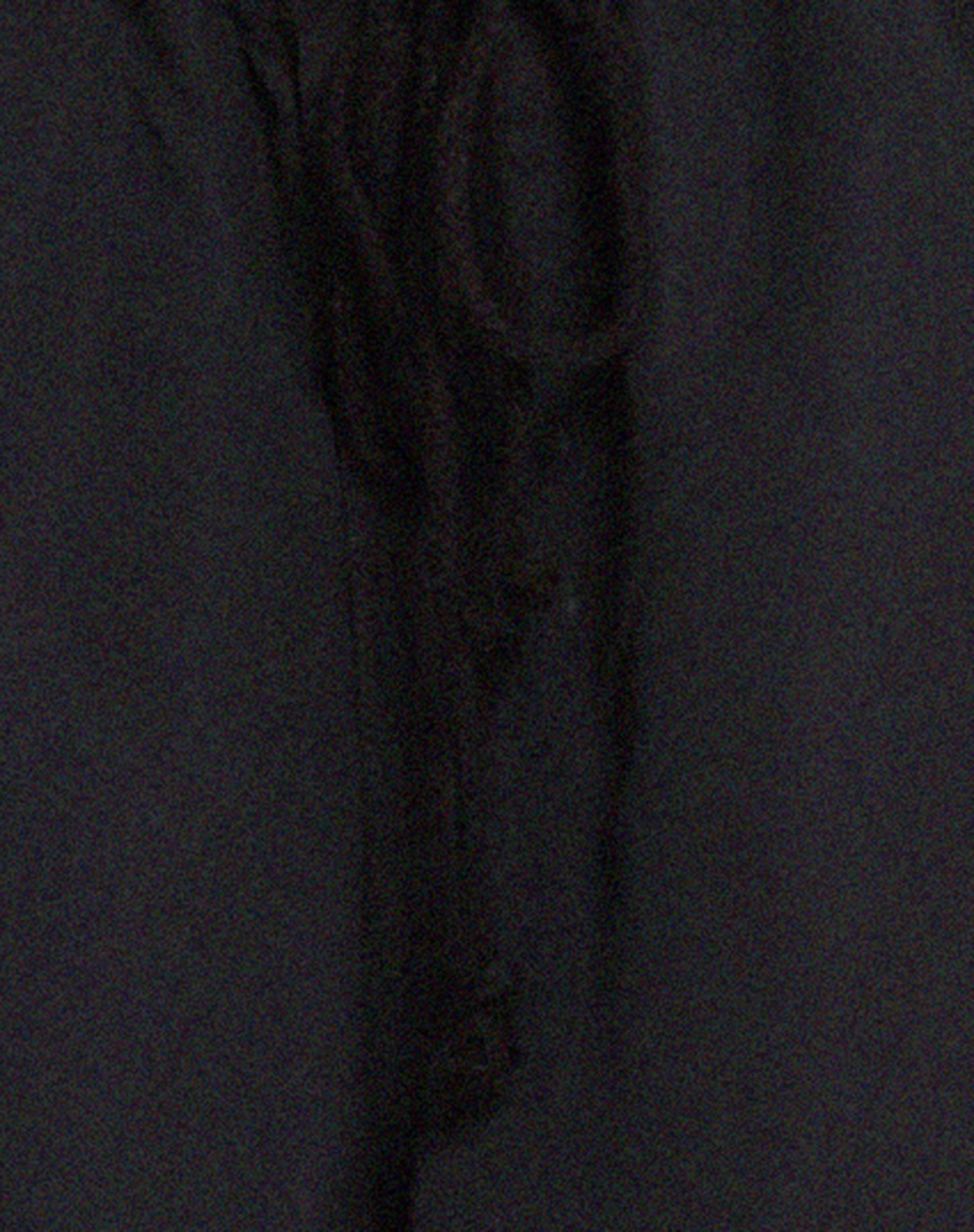 Pantalón Chute de microfibra negro