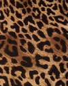 Leopardo nocturno Marrón