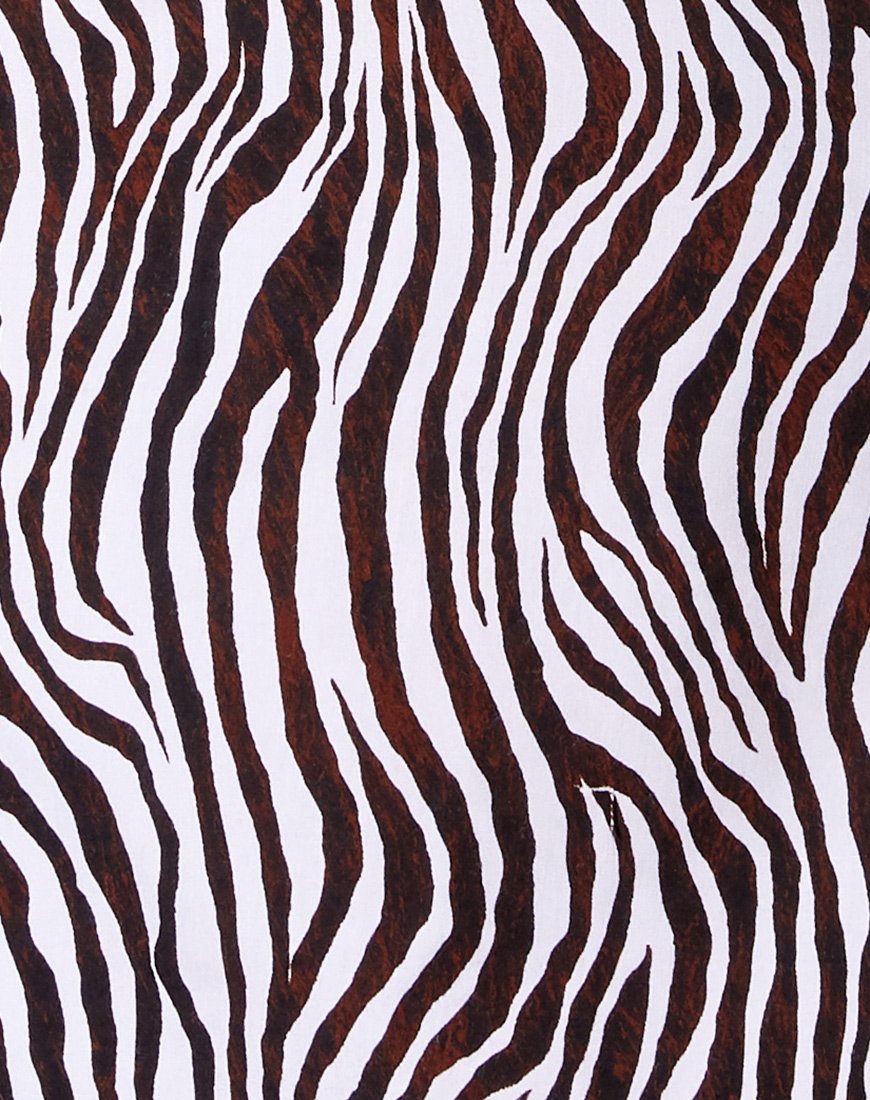 Imagen de Datista Slip Dress in Zebra Vertical