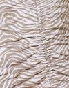 Cebra tonal