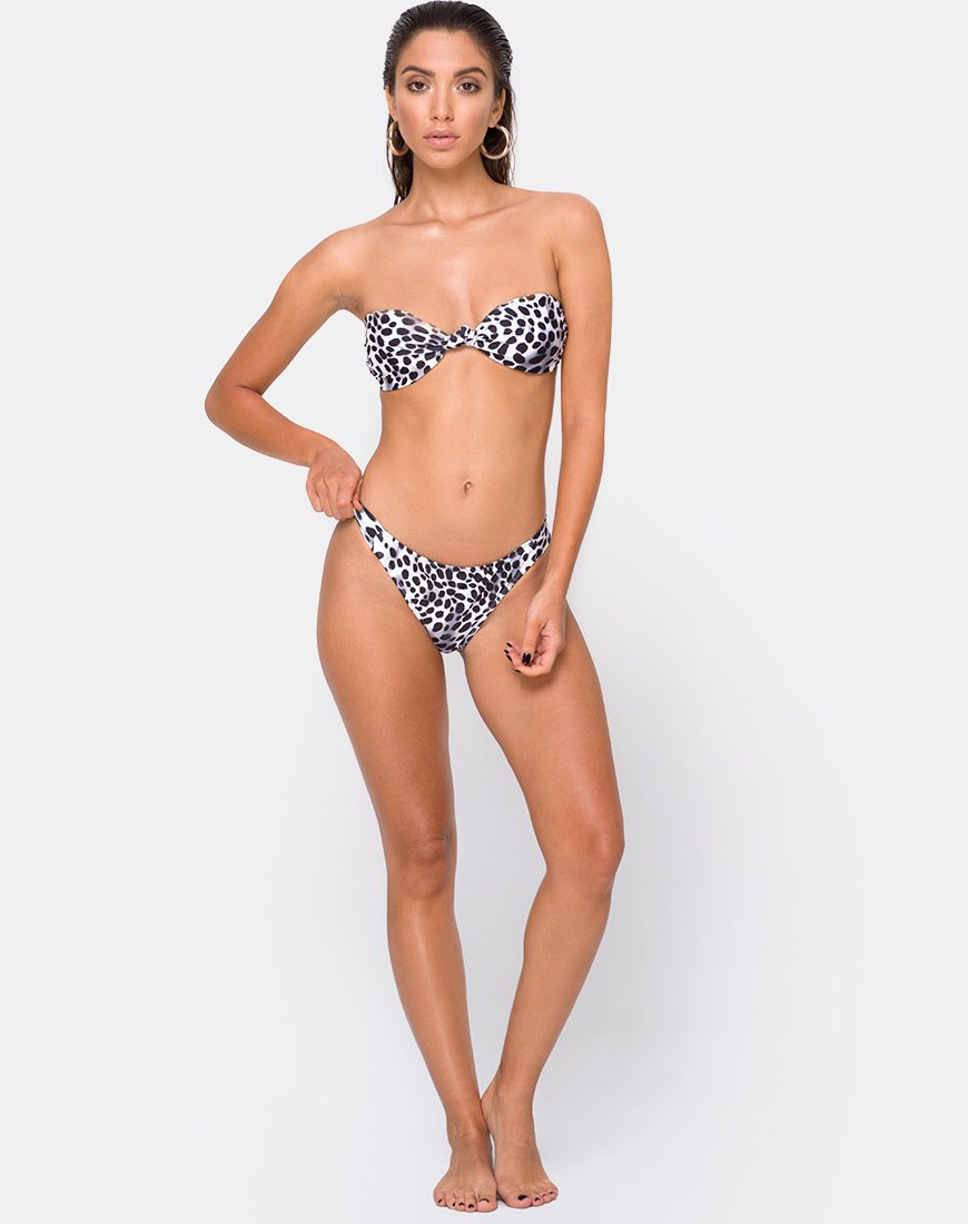 Braguita de bikini Dita en dálmata