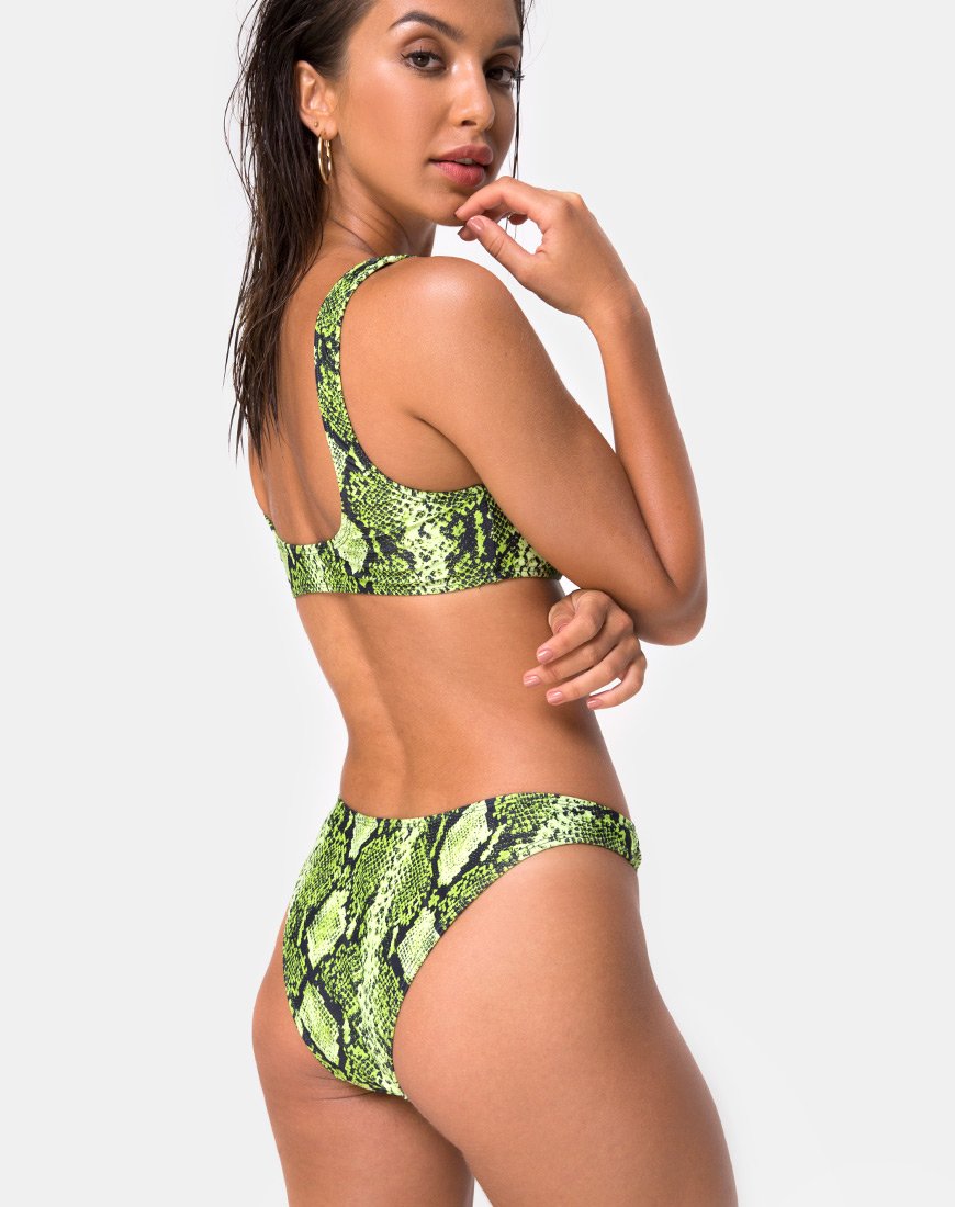 Imagen de la braguita de bikini Farida en Slime Lime Snake