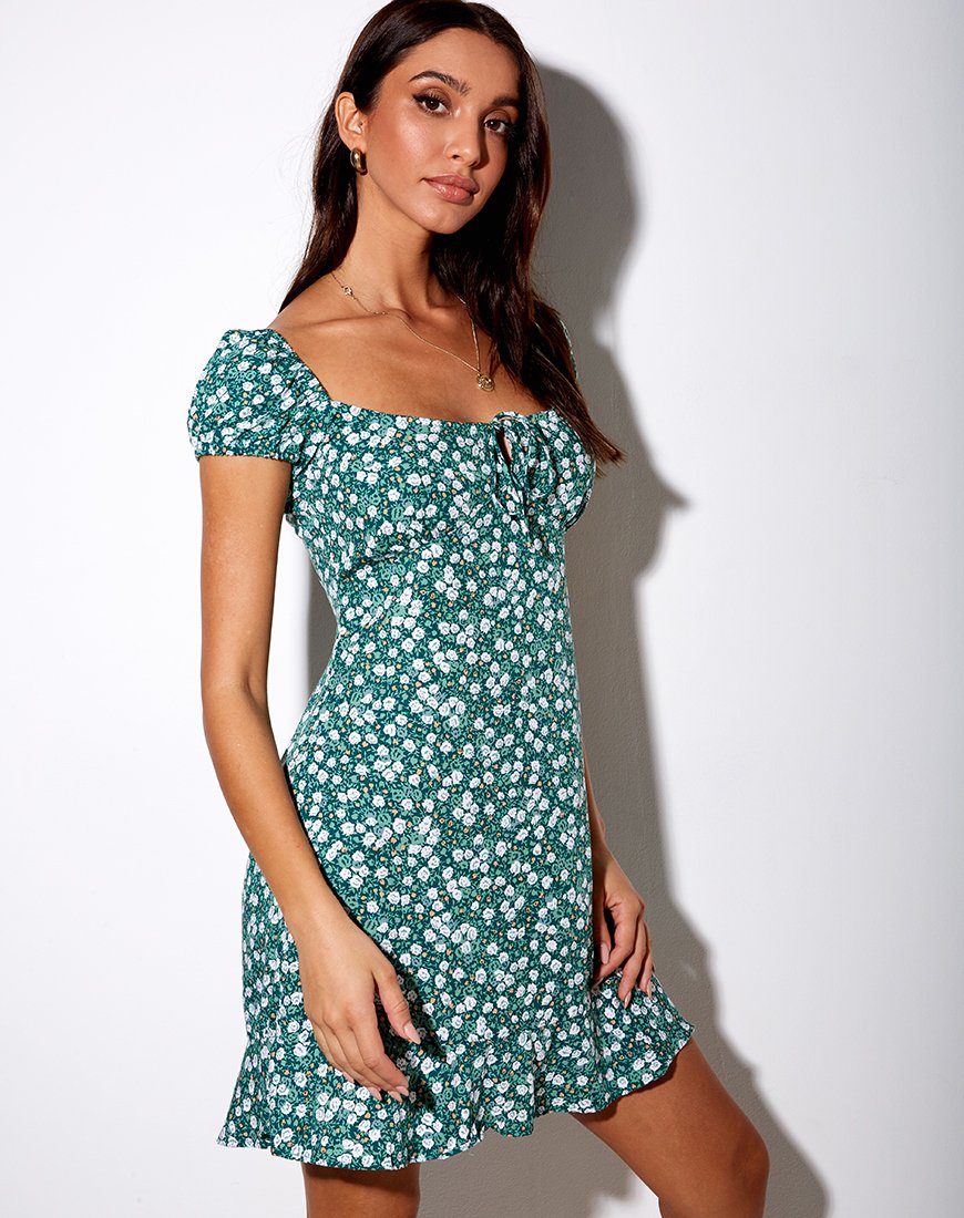 Imagen de Galaca Mini Dress in Floral Field Green