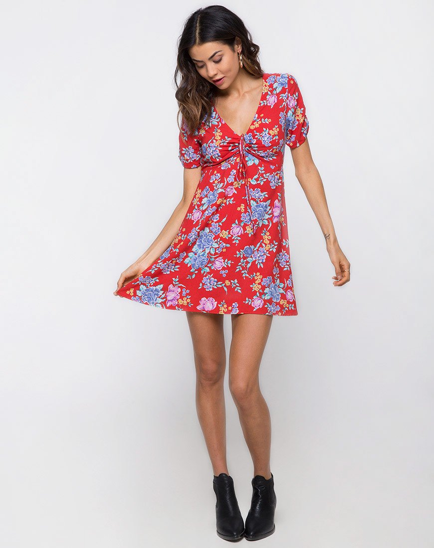 Imagen de Giska Tea Dress in Vintage Fleur