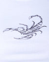 Escorpión blanco