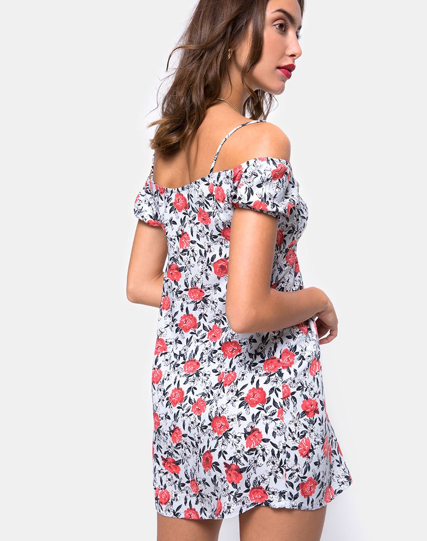 Imagen del minivestido Karoo en Blooming Rose
