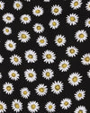 Grunge Daisy Negro