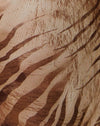  Tigre marrón