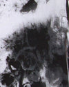 Mono Tie Dye Blanco y Negro