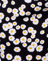 Mini Daisy Negro