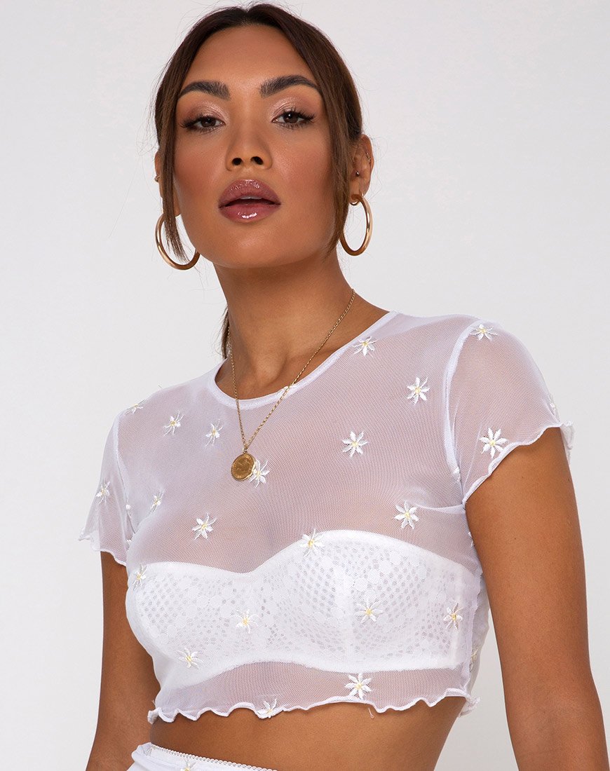 Tince Top en Blanco Daisy Embro White