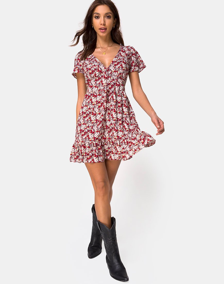 Imagen de Laily Skater Dress in Floral Charm Rojo