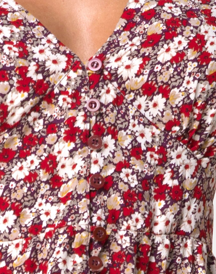 Imagen de Laily Skater Dress in Floral Charm Rojo