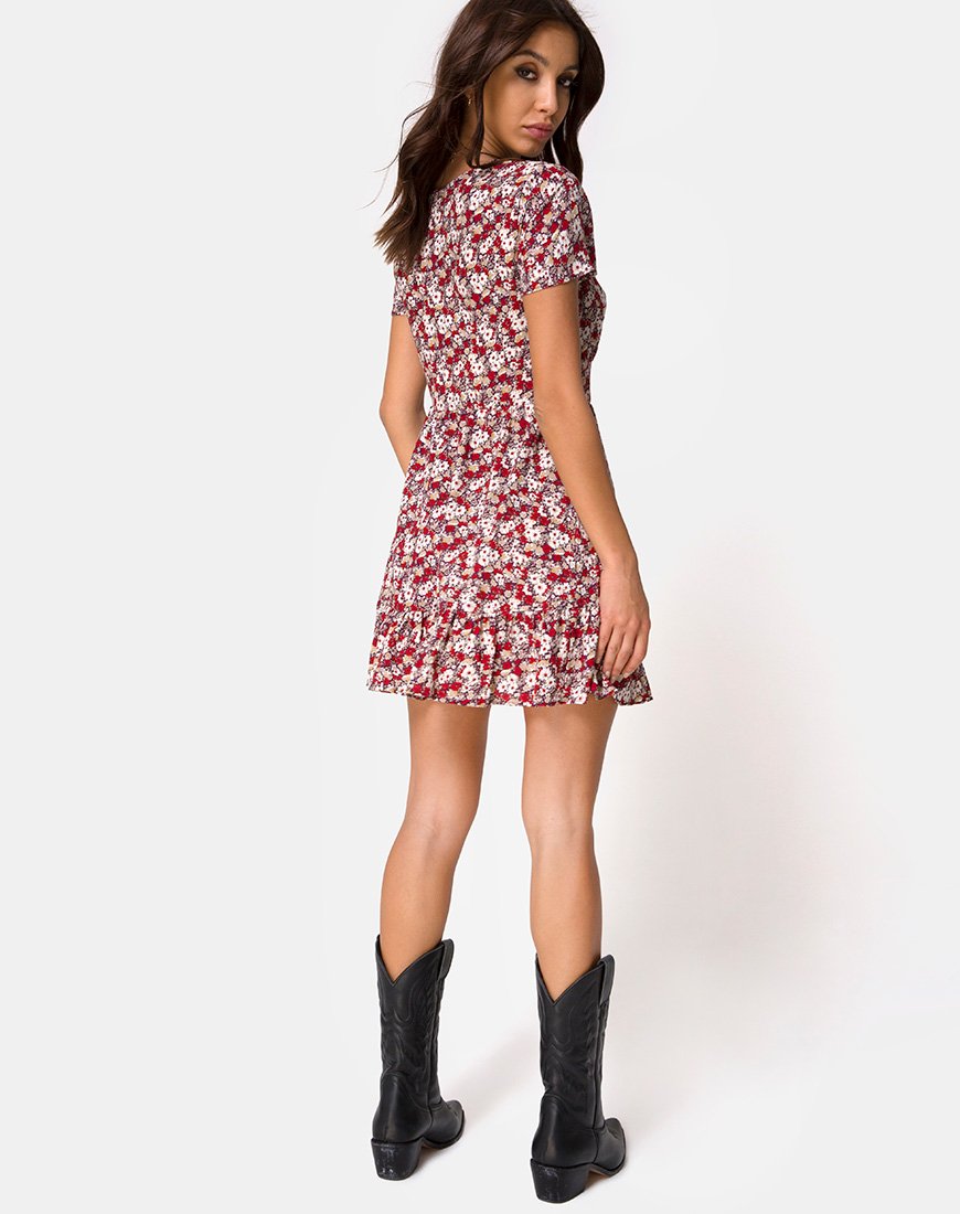 Imagen de Laily Skater Dress in Floral Charm Rojo