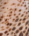 Leopardo de arena