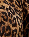 Leopardo nocturno Marrón