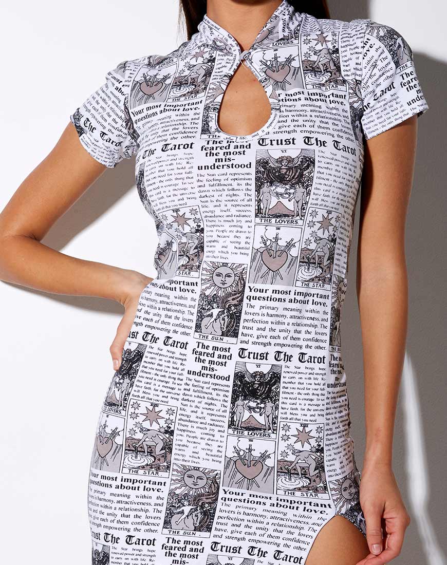 Imagen de Marlin Bodycon Dress in Tarot