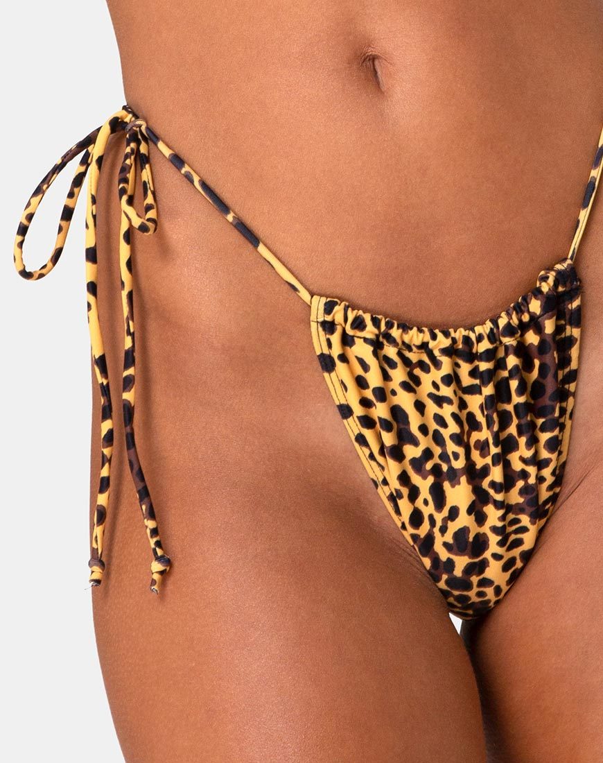 Imagen de la braguita de bikini Leyna en guepardo dorado