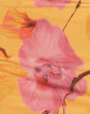  Orquídea borrosa Melocotón