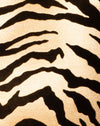 Tigre de oro