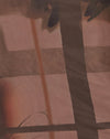  Foto Brown