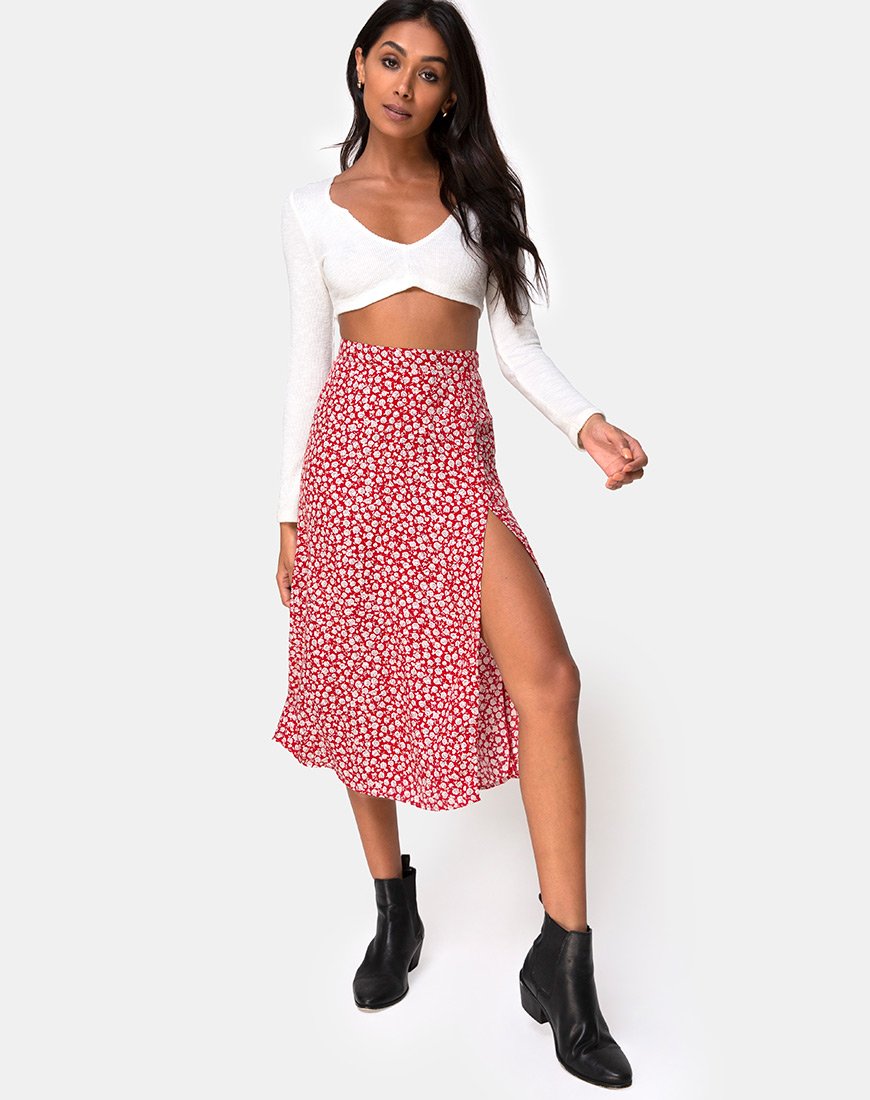 Imagen de la falda Saika en Ditsy Rose Red Silver