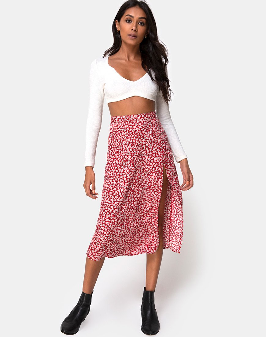 Imagen de la falda Saika en Ditsy Rose Red Silver