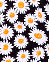 Daisy Love Negro