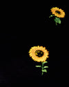 Girasol Ditsy