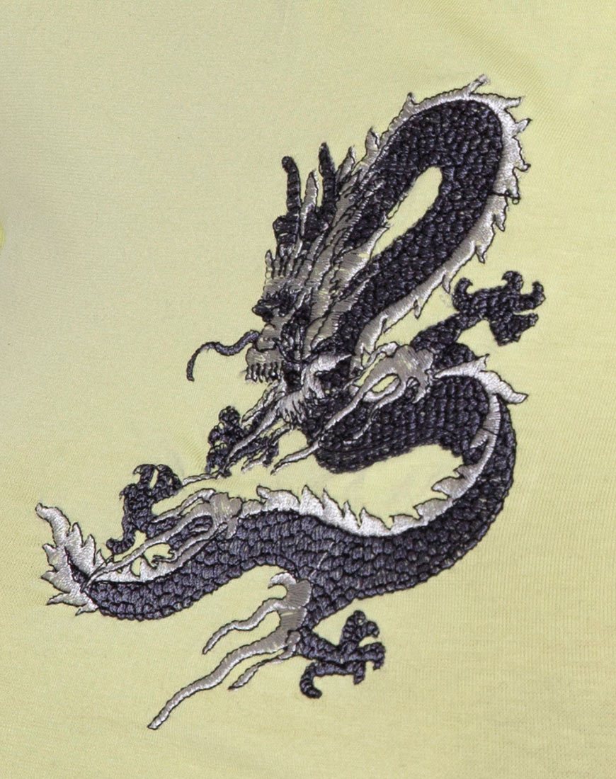 Imagen de Tindy Crop Top en pistacho Dragon Embro