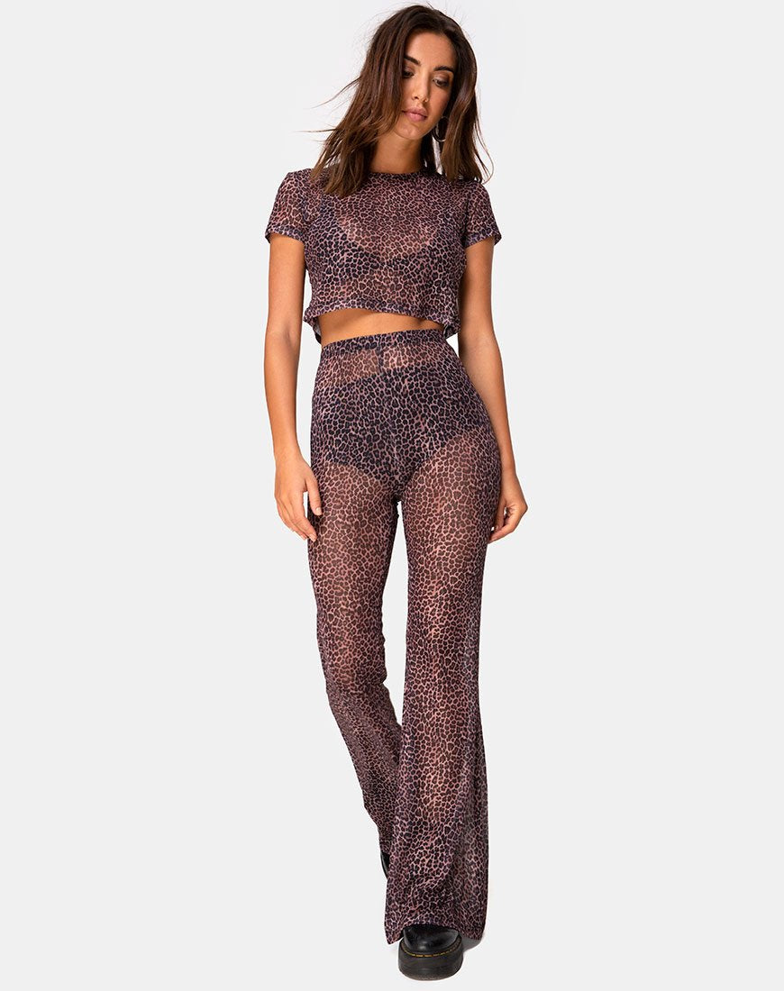 Imagen de Herlom Flare Trouser in Rar Leopard Mesh