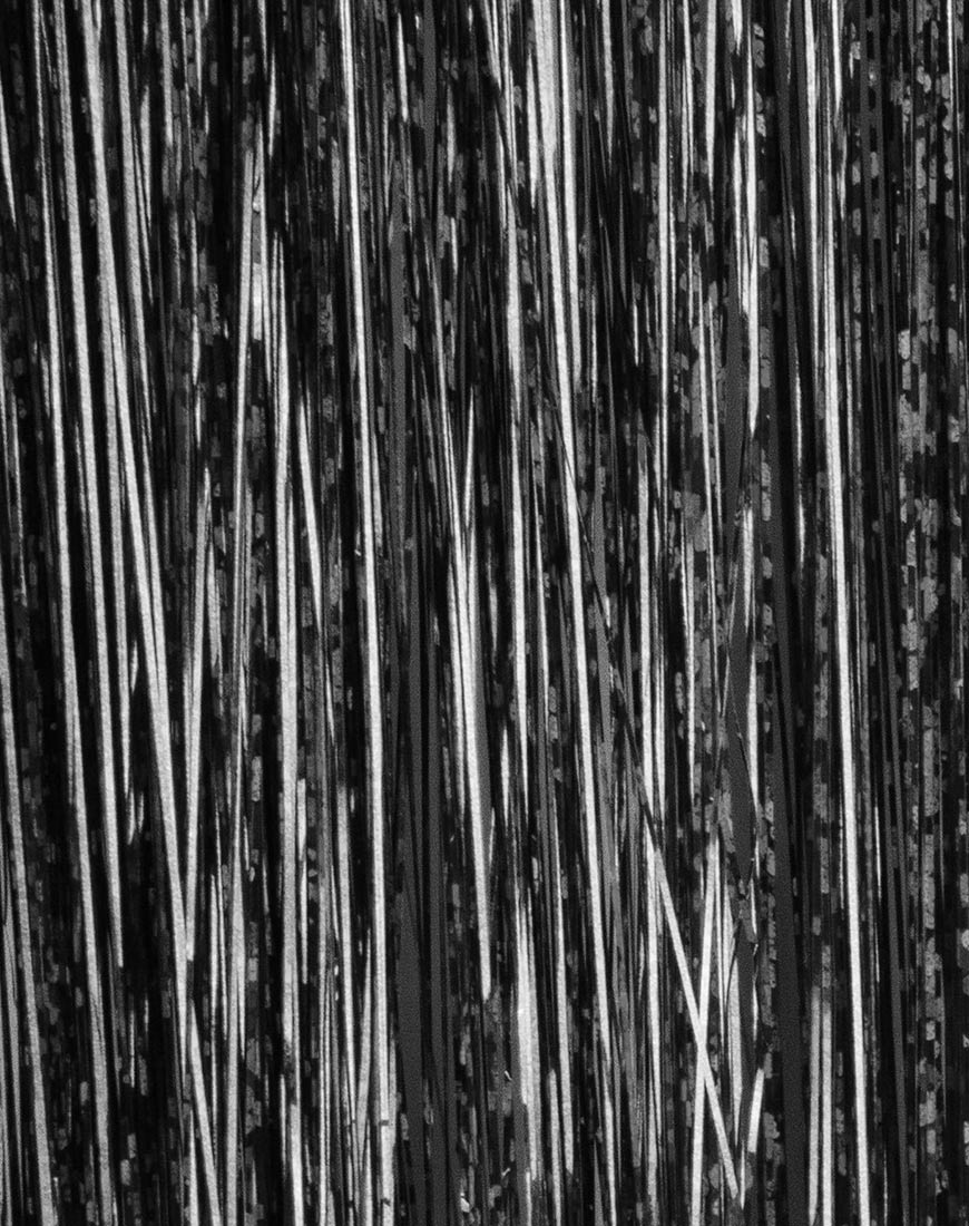 Extensión de pelo Black Tinsel de Shrine