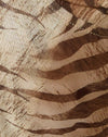  Tigre marrón