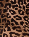 Leopardo nocturno Marrón
