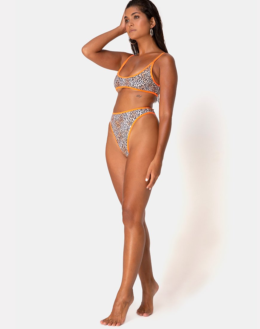 Imagen de la braguita de bikini Sikila en mini tigre con ribetes naranjas