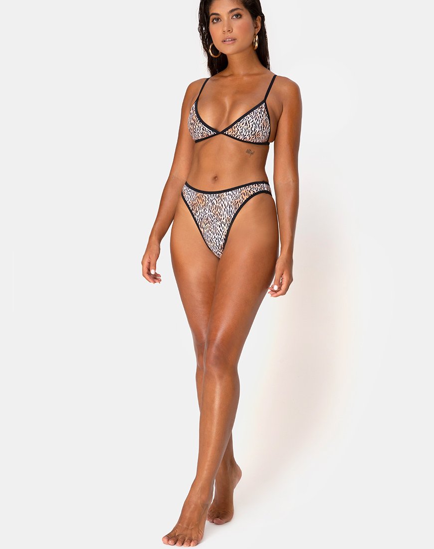Imagen del sujetador de bikini Varna en mini tigre con ribetes negros